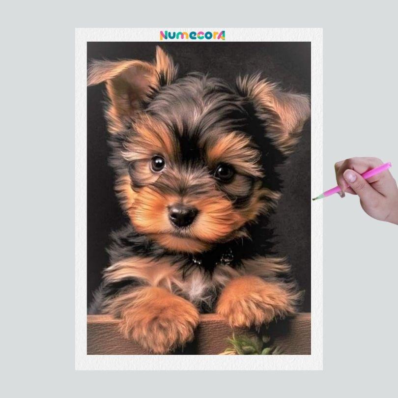 Pintura Terapêutica com Diamantes - Dog Ywork bebe - Tela 100% Preenchida