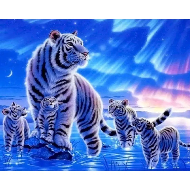 50142270193971|50142270226739