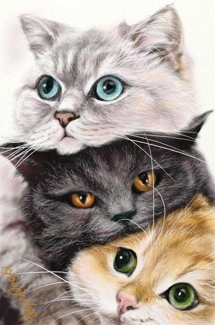 Pintura Terapêutica com Diamantes - Gatinhos Fofura - Tela 100% Preenchida
