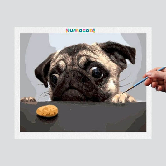 Pintura Terapêutica Numerada - Buldogue francês