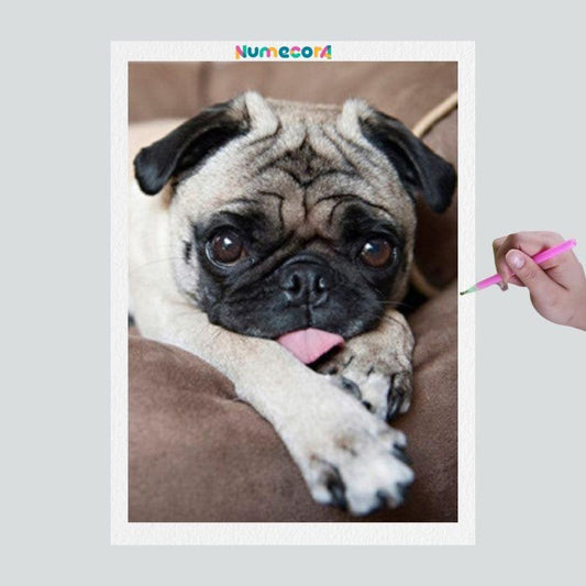Pintura Terapêutica com Diamantes - Dog Pug - Tela 100% Preenchida