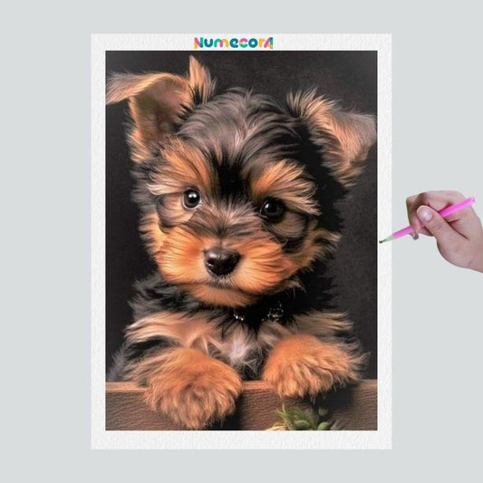 Pintura Terapêutica com Diamantes - Dog Ywork bebe - Tela 100% Preenchida