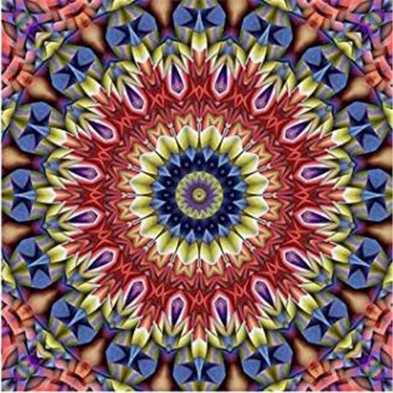 50412217565491|50412217598259|50412217729331