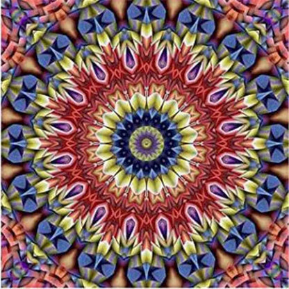50412217565491|50412217598259|50412217729331