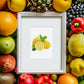 Mini Telas - Conjunto com 12 pcs - Kit Pintura Terapêutica com Diamantes - Pinturinhas Frutas