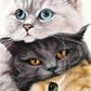 Pintura Terapêutica com Diamantes - Gatinhos Fofura - Tela 100% Preenchida