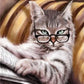 Pintura Terapêutica com Diamantes - Gato Intelectual - Tela 100% Preenchida