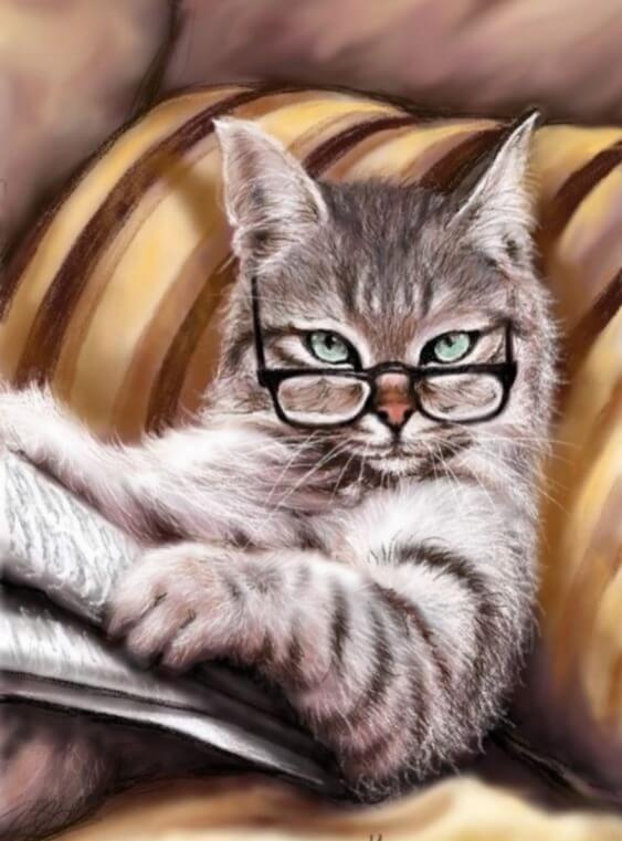 Pintura Terapêutica com Diamantes - Gato Intelectual - Tela 100% Preenchida